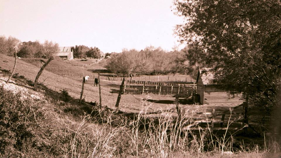 Wellsville Bull Pen 1966