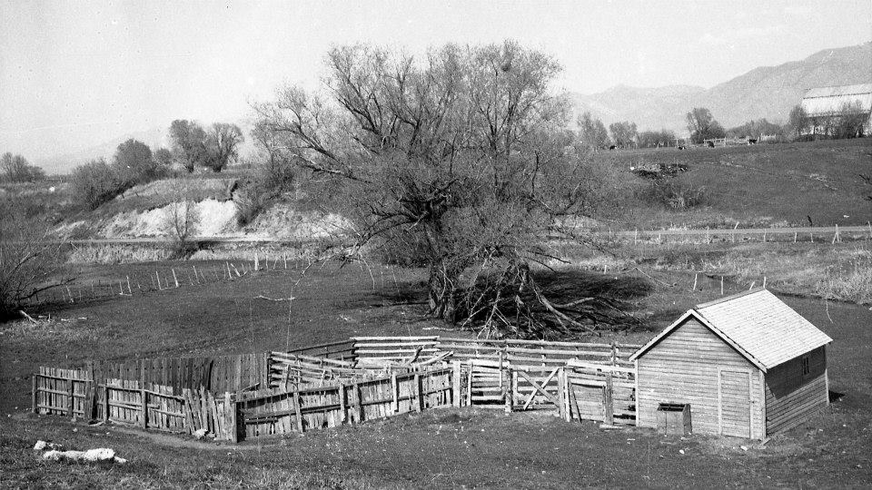 Wellsville Bull Pen 1966 view 2