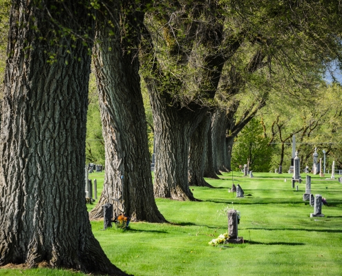 Cemetery